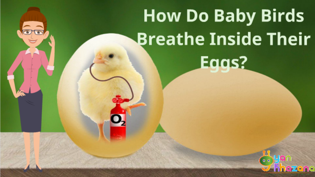 Rise of the Tomb Raider