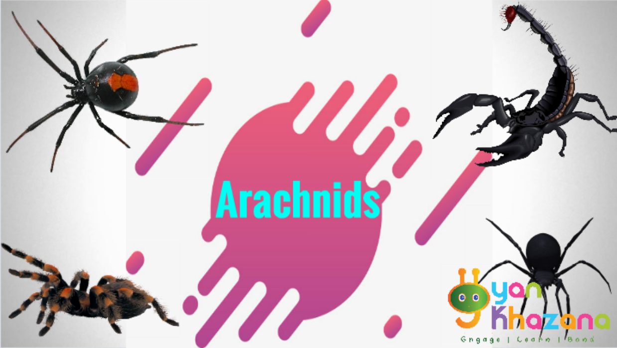 Rise of the Tomb Raider